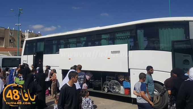 Mo3tmren lud ramla (10).jpg